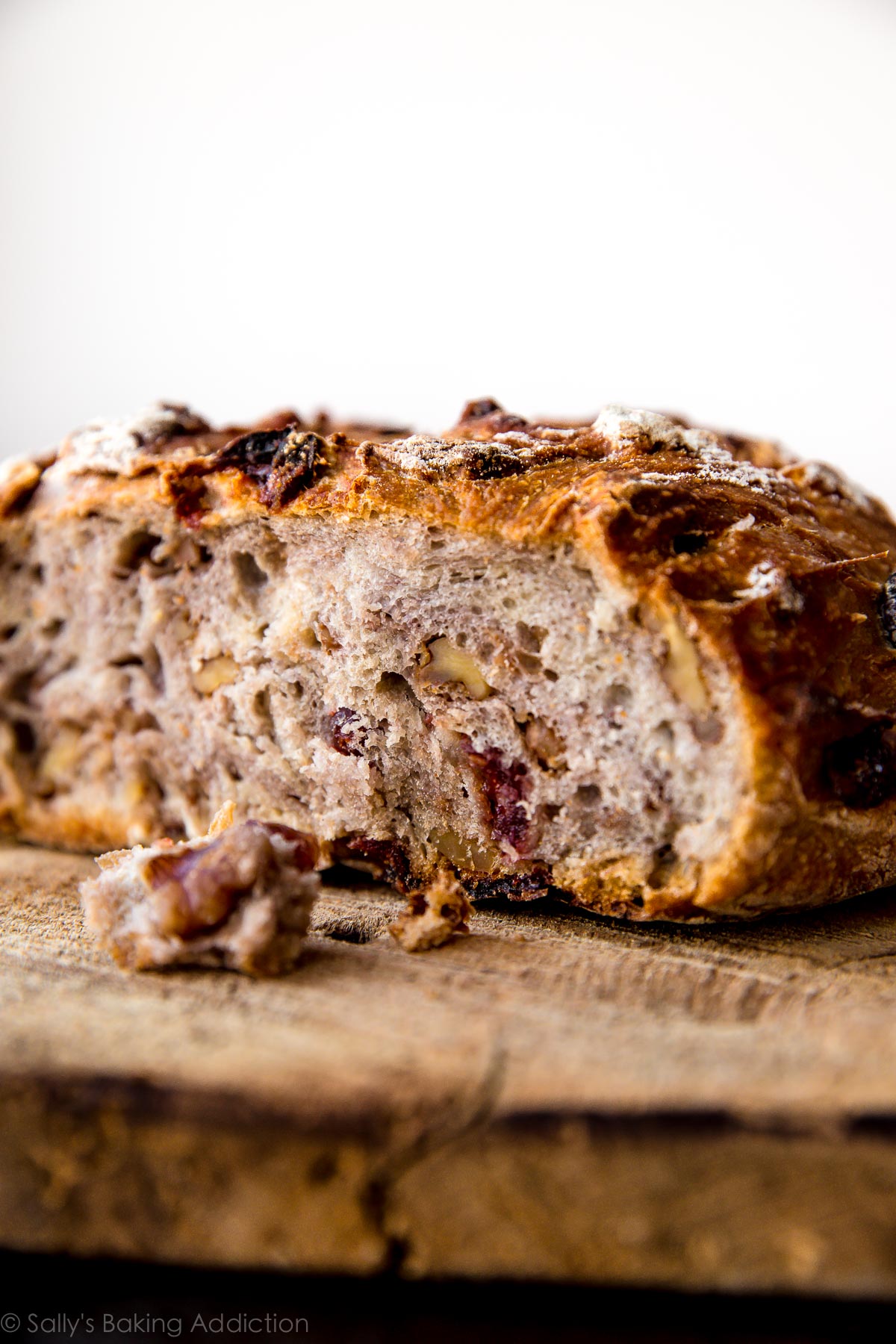 No-knead super crusty, soft, and EASY bread made in the dutch oven! Filled with dried cranberries and walnuts, the bread is delicious! Recipe on sallysbakingaddiction.com