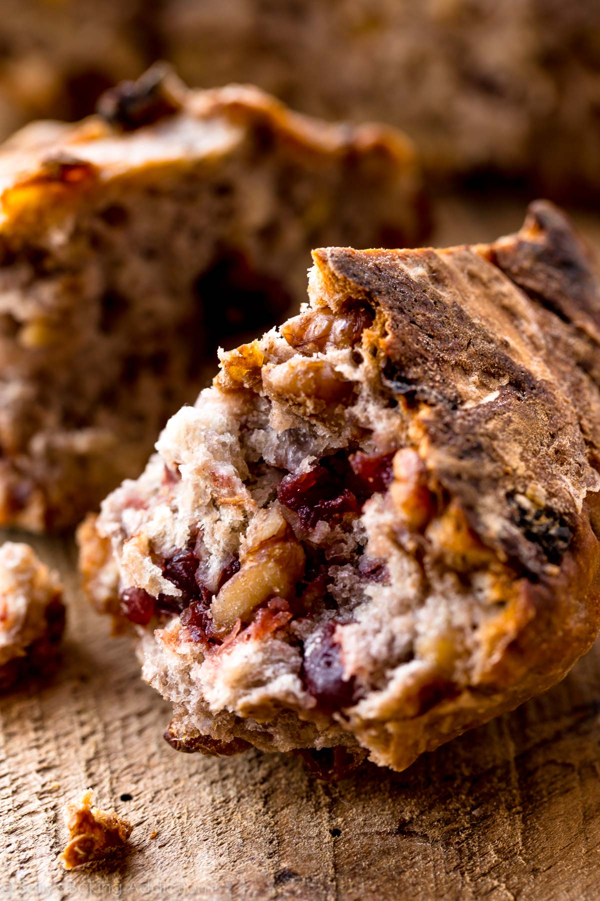No-knead super crusty, soft, and EASY bread made in the dutch oven! Filled with dried cranberries and walnuts, the bread is delicious! Recipe on sallysbakingaddiction.com