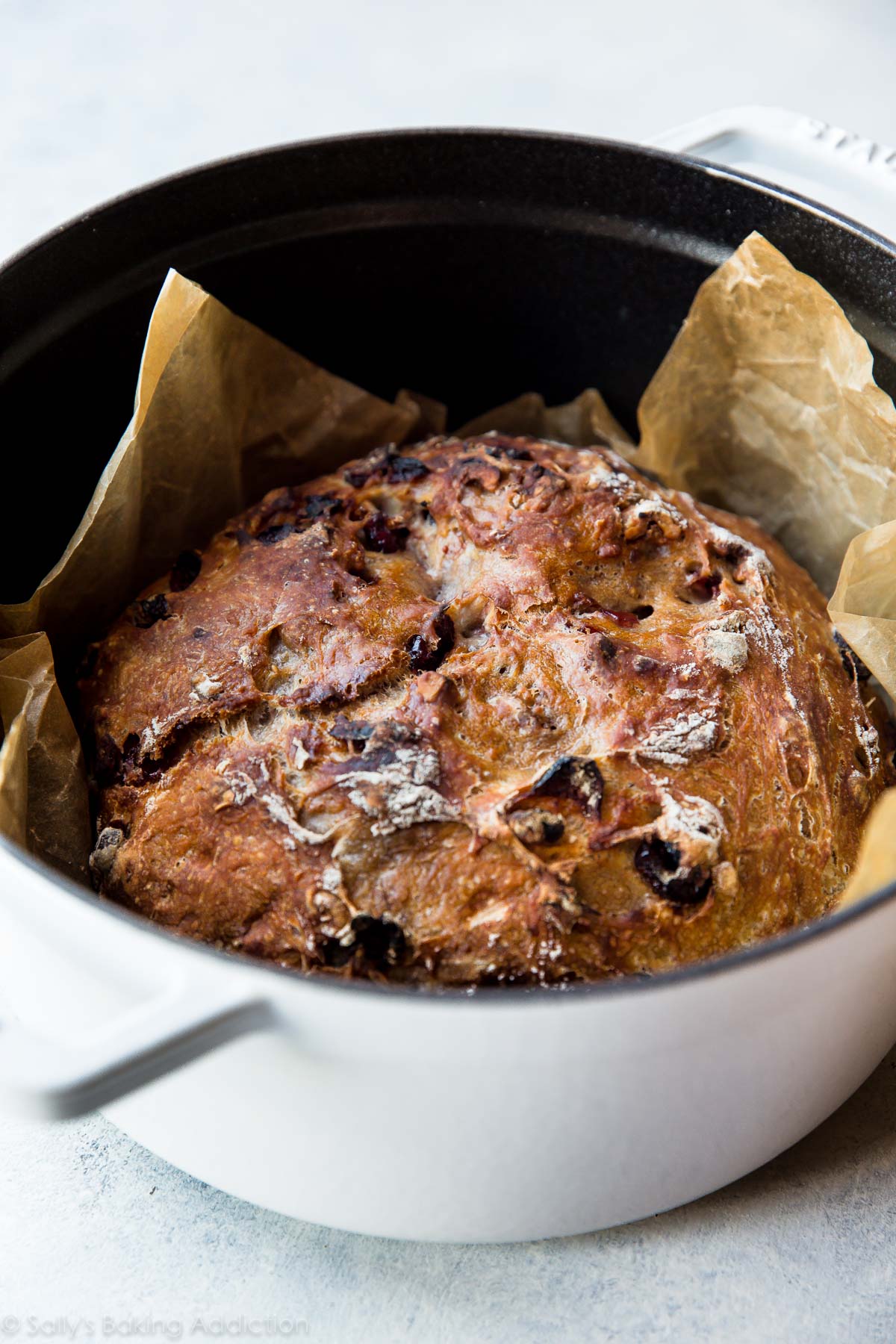 How to make easy crusty no-knead bread on sallysbakingaddiction.com