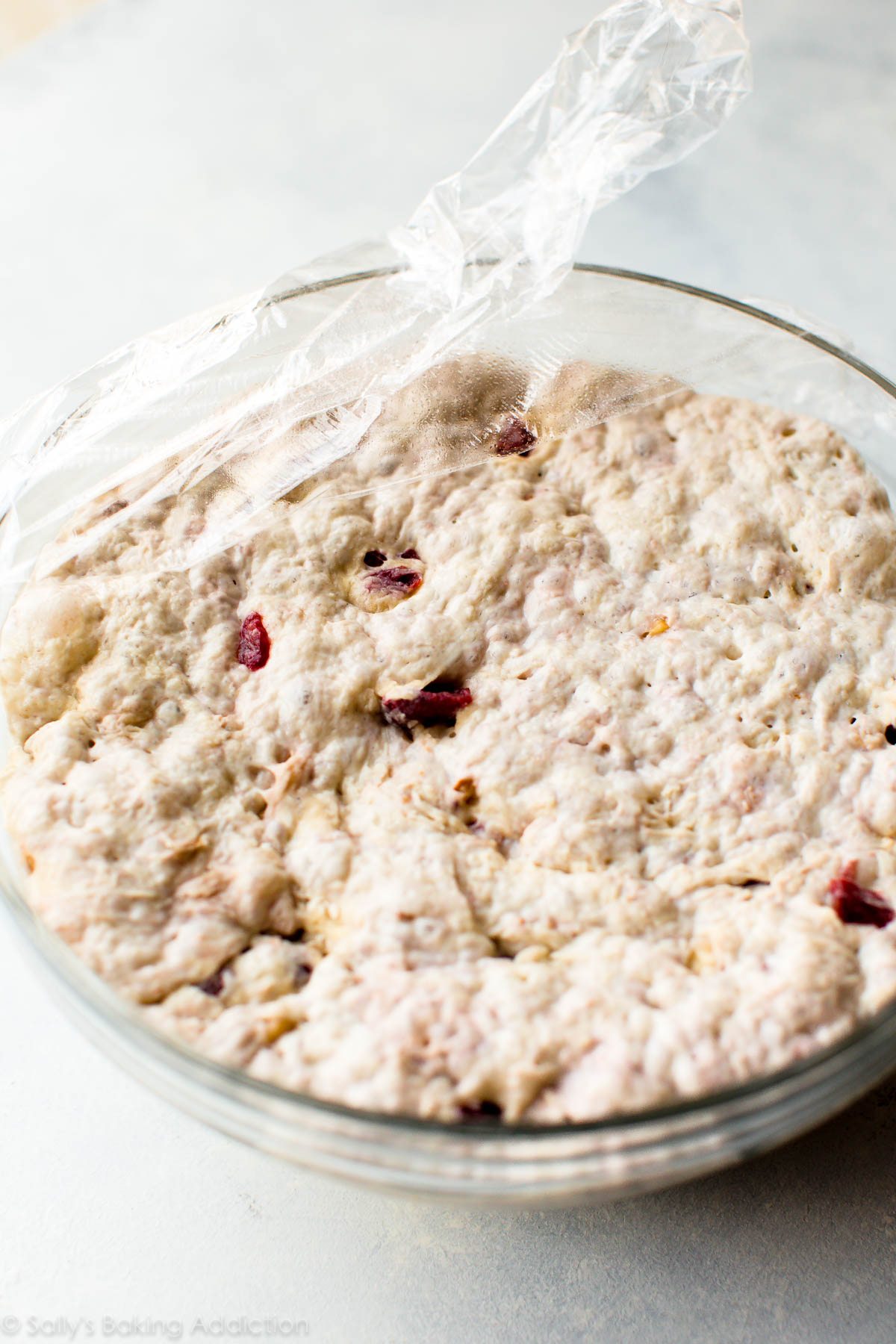 How to make easy crusty no-knead bread on sallysbakingaddiction.com
