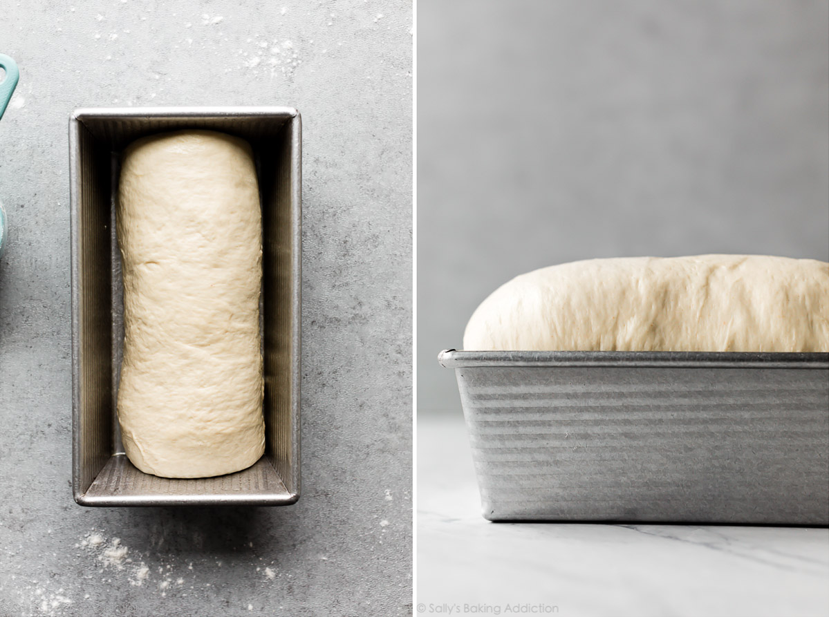sandwich bread dough
