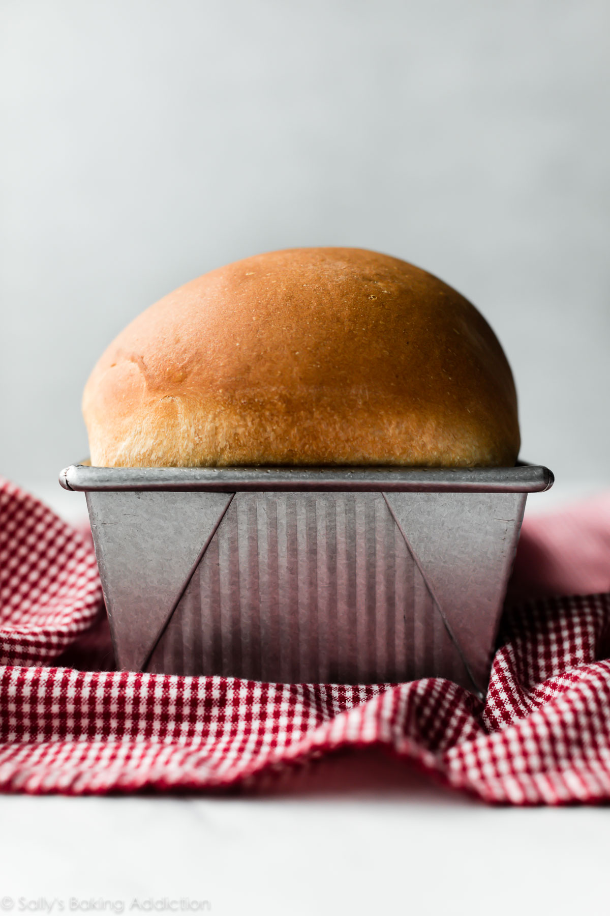 sandwich bread loaf